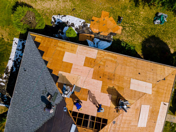 Best Shingle Roofing Installation  in Seis Lagos, TX