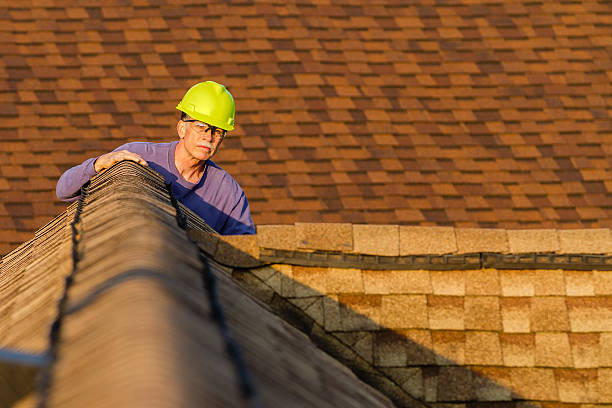 Best Roof Gutter Cleaning  in Seis Lagos, TX