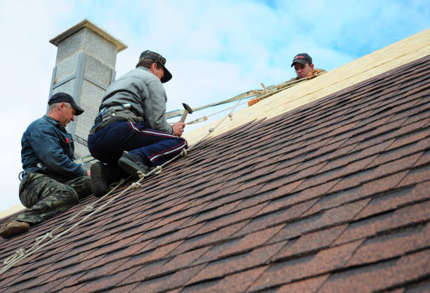 Best Roof Leak Repair  in Seis Lagos, TX
